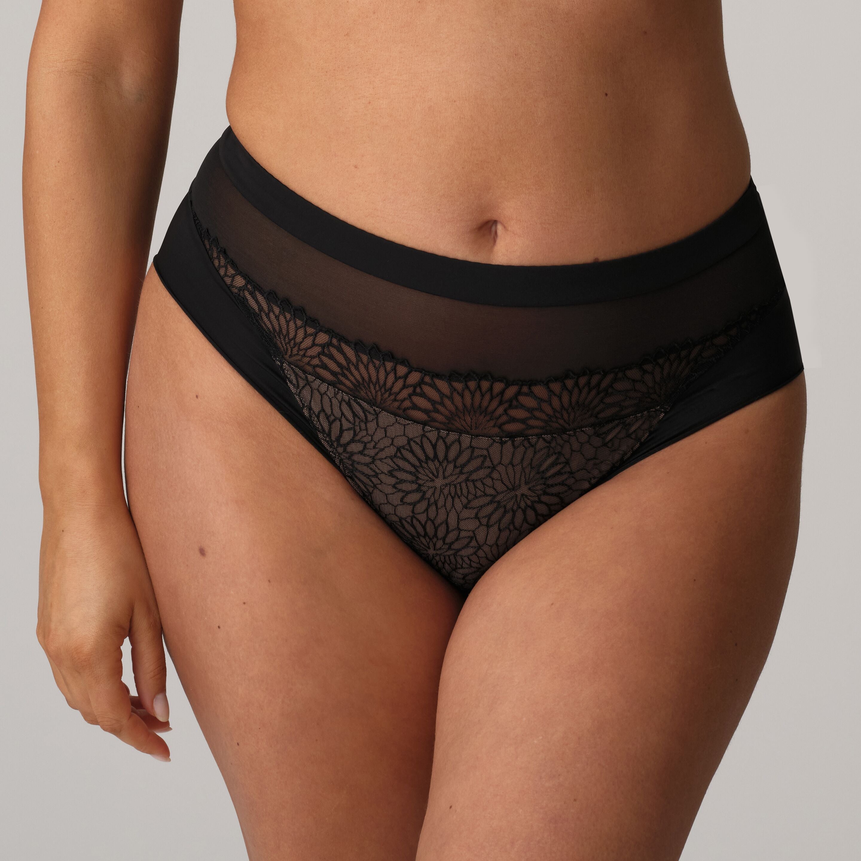 Primadonna Sophora Full Brief - La Donna